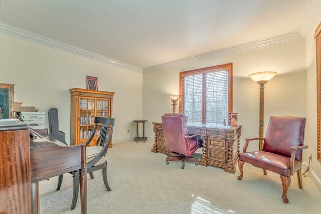 815 Battlefield Park Dr, Park, Dalton, GA 30720 - photo 33