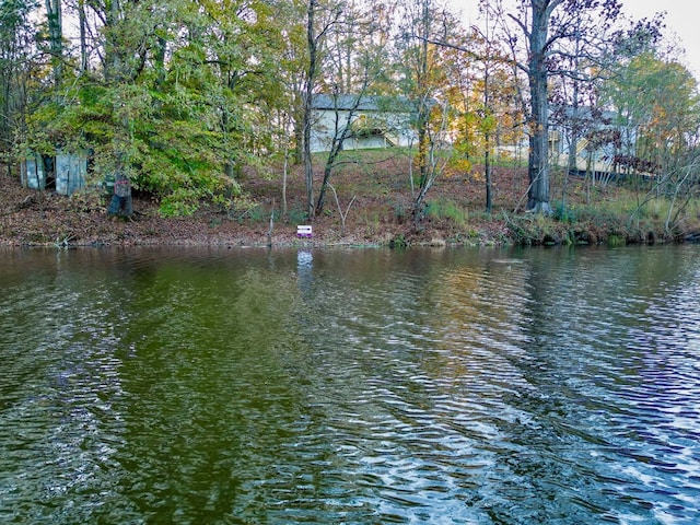 view of water feature