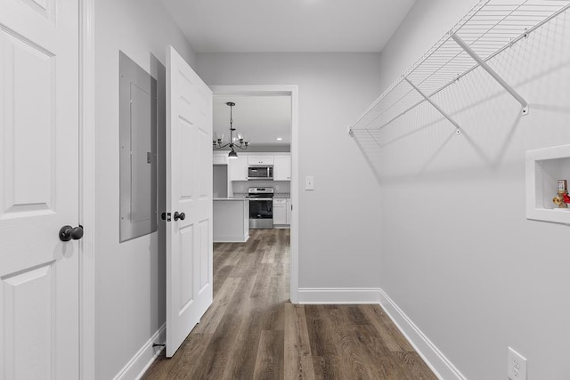 spacious closet featuring dark hardwood / wood-style floors, a notable chandelier, and electric panel