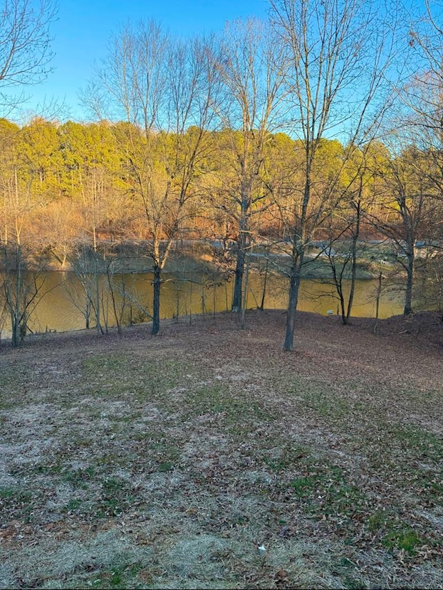 view of yard featuring a water view