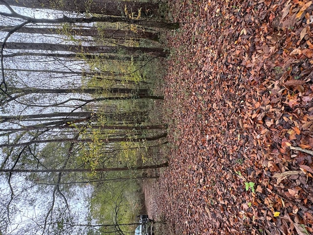 0 Gaines Rd, Dalton, GA 30721