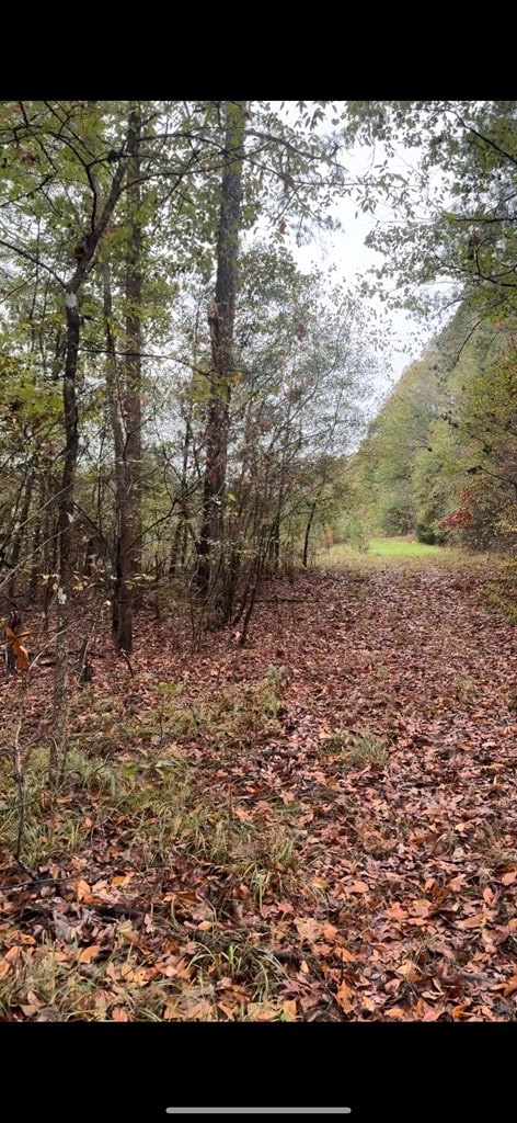 0 Gaines Rd, Dalton, GA 30721