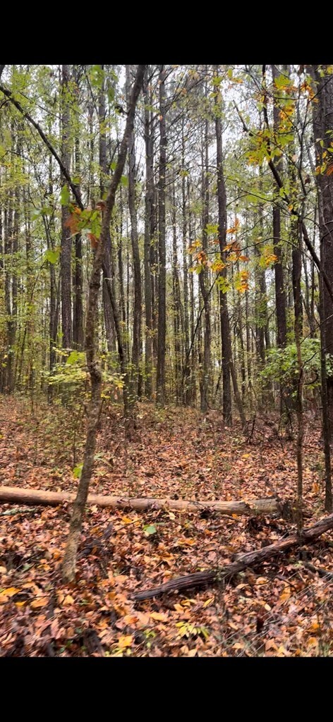 0 Gaines Rd, Dalton, GA 30721