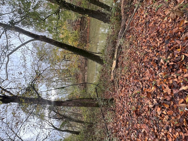 0 Gaines Rd, Dalton, GA 30721
