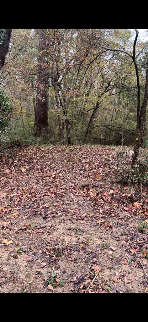 0 Gaines Rd, Dalton, GA 30721