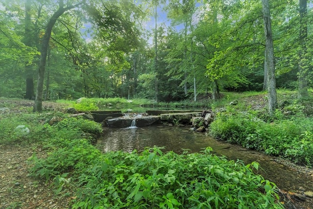 299 Charlotte Dr, Dalton, GA 30720 - view of property's community featuring a view of trees