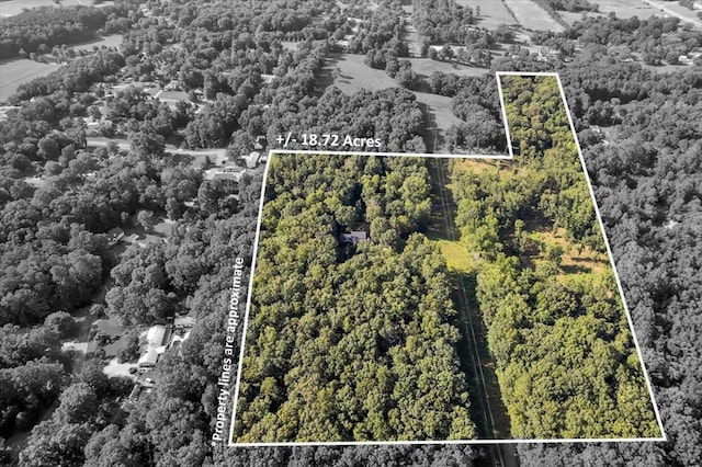 299 Charlotte Dr, Dalton, GA 30720 - view of property location with property boundaries highlighted