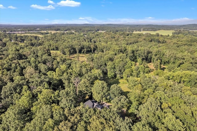 299 Charlotte Dr, Dalton, GA 30720 - view of property location with a heavily wooded area