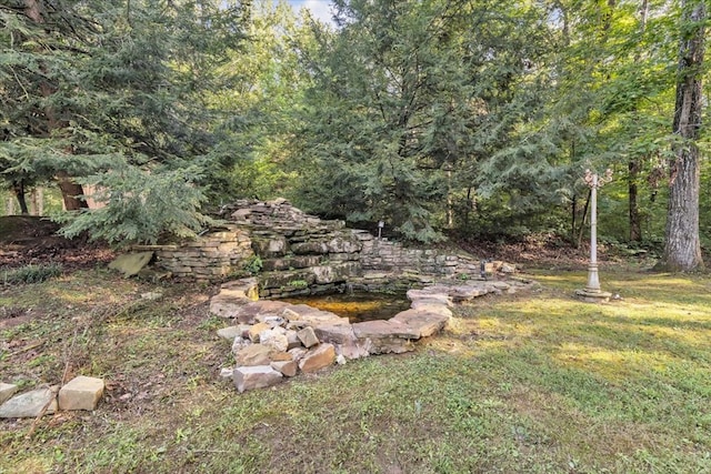 299 Charlotte Dr, Dalton, GA 30720 - view of yard with a wooded view