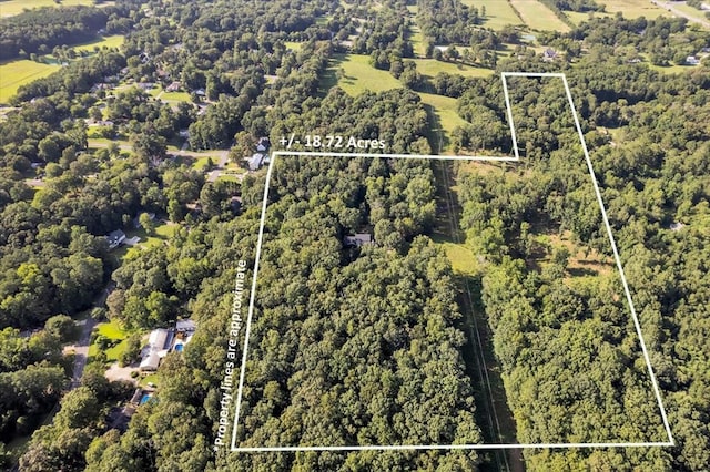 299 Charlotte Dr, Dalton, GA 30720 - aerial overview of property's location featuring property boundaries highlighted and a heavily wooded area