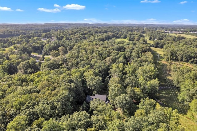 299 Charlotte Dr, Dalton, GA 30720 - aerial view of a forest