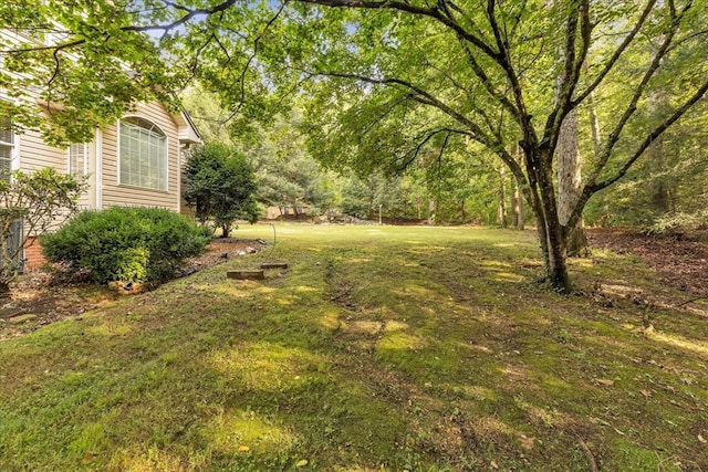 299 Charlotte Dr, Dalton, GA 30720 - view of green lawn