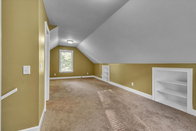 299 Charlotte Dr, Dalton, GA 30720 - bonus room featuring lofted ceiling, carpet flooring, and built in shelves