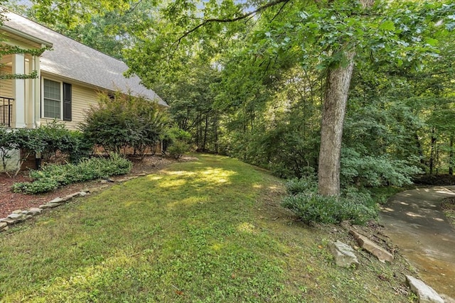 299 Charlotte Dr, Dalton, GA 30720 - view of green lawn