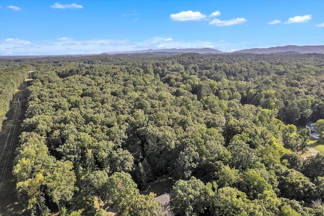 299 Charlotte Dr, Dalton, GA 30720 - aerial view of a mountainous background