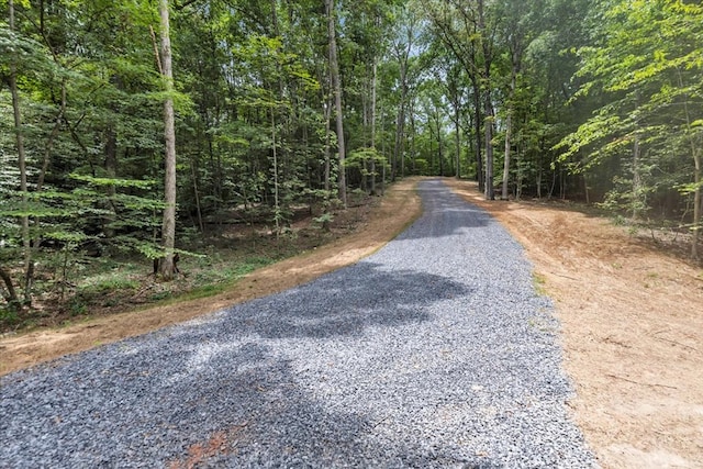 76ACRES Meers Rd, Dalton, GA 30721 - photo 33