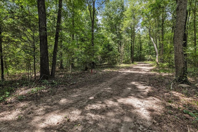 76ACRES Meers Rd, Dalton, GA 30721 - photo 21