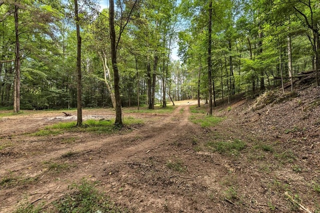 76ACRES Meers Rd, Dalton, GA 30721 - photo 10