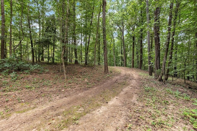 76ACRES Meers Rd, Dalton, GA 30721 - photo 19