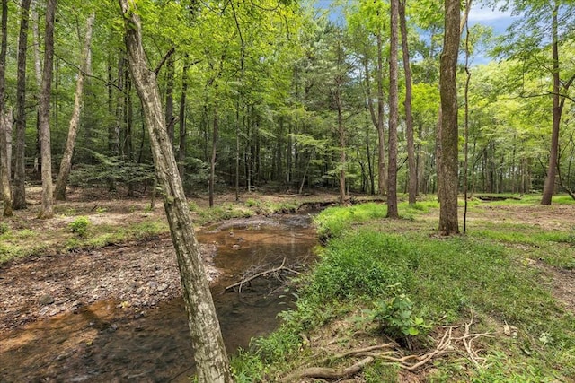 76ACRES Meers Rd, Dalton, GA 30721 - photo 1