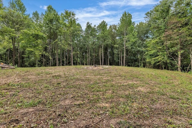 76ACRES Meers Rd, Dalton, GA 30721 - photo 16
