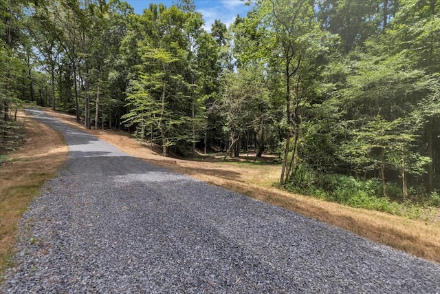 76ACRES Meers Rd, Dalton, GA 30721 - photo 34