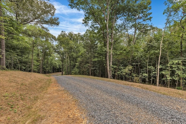 76ACRES Meers Rd, Dalton, GA 30721 - photo 13