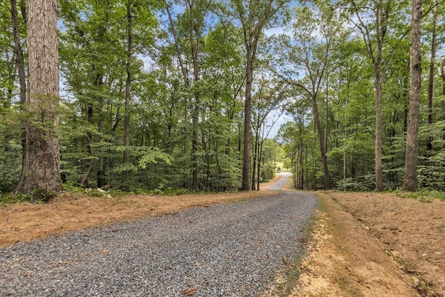 76ACRES Meers Rd, Dalton, GA 30721 - photo 31