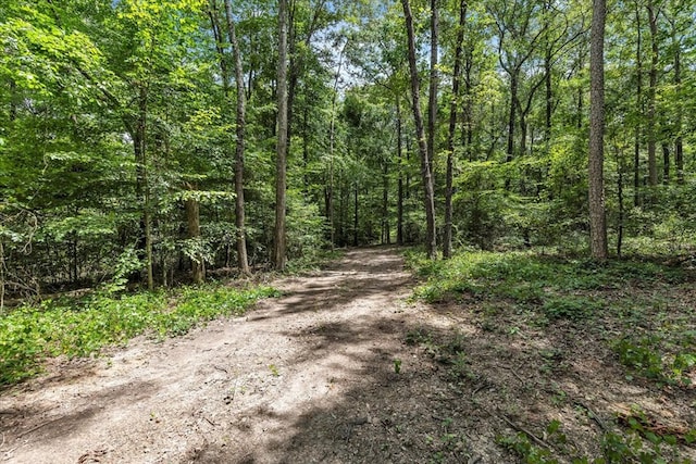 76ACRES Meers Rd, Dalton, GA 30721 - photo 22