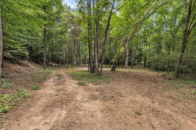 76ACRES Meers Rd, Dalton, GA 30721 - photo 11