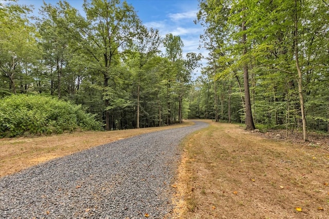76ACRES Meers Rd, Dalton, GA 30721 - photo 29
