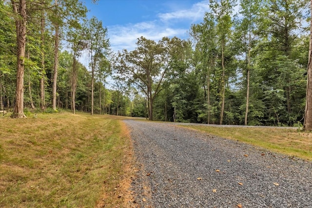 76ACRES Meers Rd, Dalton, GA 30721 - photo 27