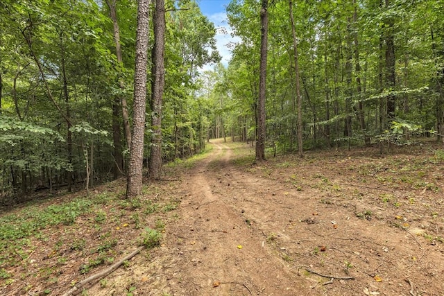 76ACRES Meers Rd, Dalton, GA 30721 - photo 20