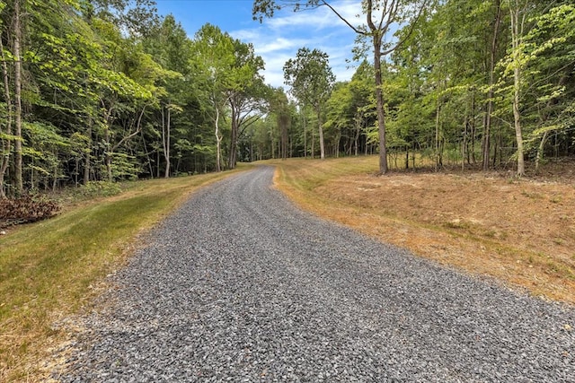 76ACRES Meers Rd, Dalton, GA 30721 - photo 14