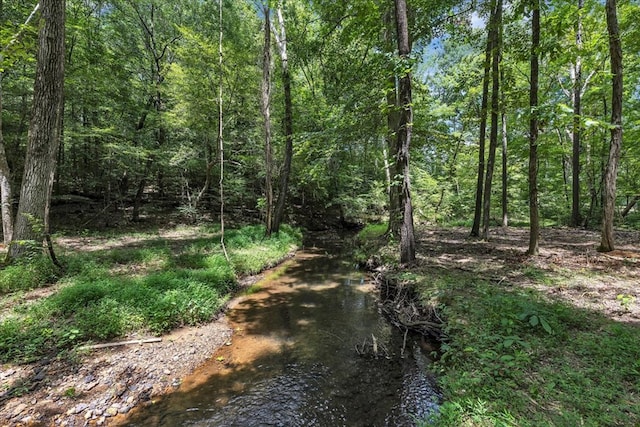 76ACRES Meers Rd, Dalton, GA 30721 - photo 3