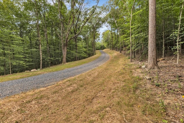 76ACRES Meers Rd, Dalton, GA 30721 - photo 28