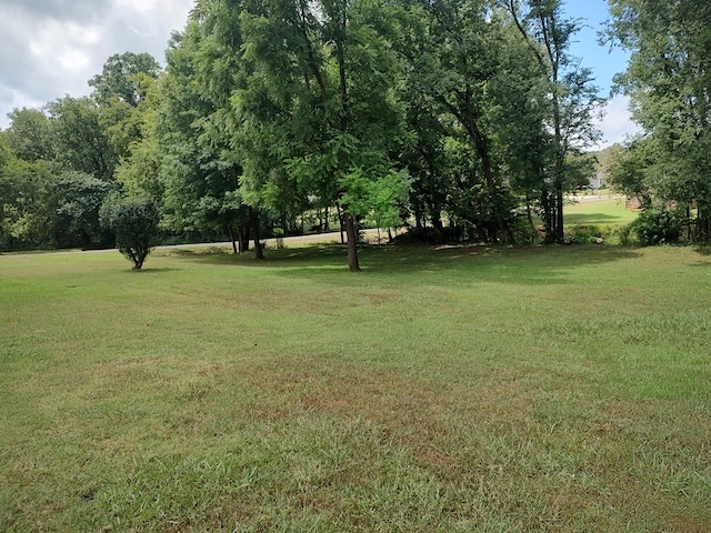 157 Brookfields Ln, Chatsworth, GA 30705 - photo 17