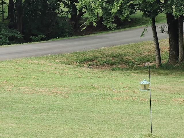 157 Brookfields Ln, Chatsworth, GA 30705 - photo 8