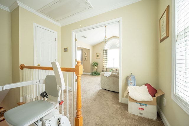 1730 Brighton Way, Dalton, GA 30720 - hall with attic access, carpet floors, an upstairs landing, healthy amount of natural light, and ornamental molding