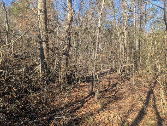 0 Hurricane Rd, Rocky Face, GA 30740
