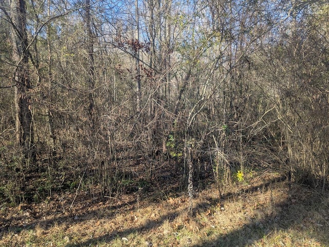 0 Hurricane Rd, Rocky Face, GA 30740