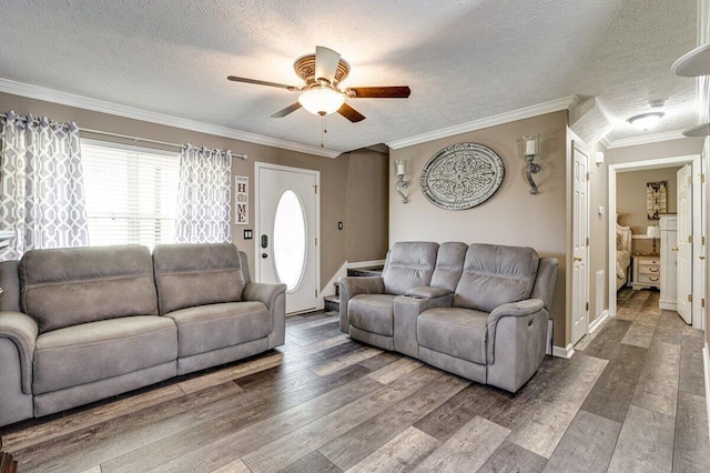 1359 Dustin Dr, Dalton, GA 30720 - living room featuring ceiling fan, wood finished floors, a textured ceiling, and crown molding