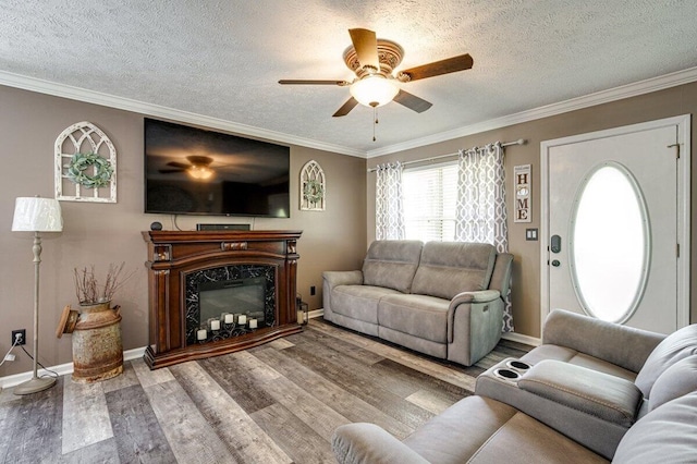 1359 Dustin Dr, Dalton, GA 30720 - living room featuring a ceiling fan, wood finished floors, a textured ceiling, crown molding, and a fireplace