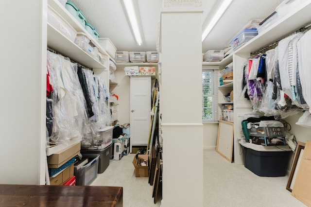 spacious closet featuring light carpet