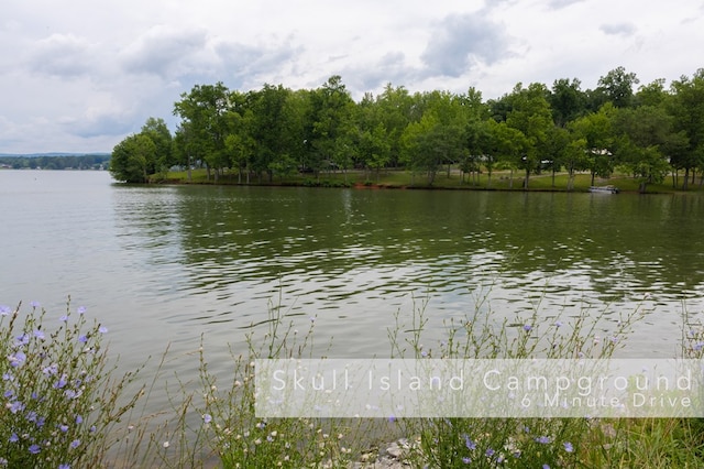 11249 Possum Trail Rd, Harrison, TN 37341 - photo 45