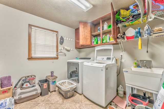 home office featuring visible vents, ornamental molding, ceiling fan, and light wood-style flooring