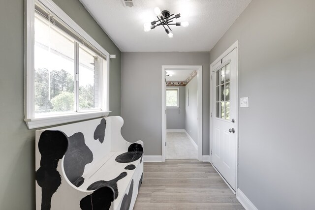 1113 Mount Vernon Rd, Tunnel Hill, GA 30755 - living area featuring baseboards, a textured ceiling, and light wood-style flooring