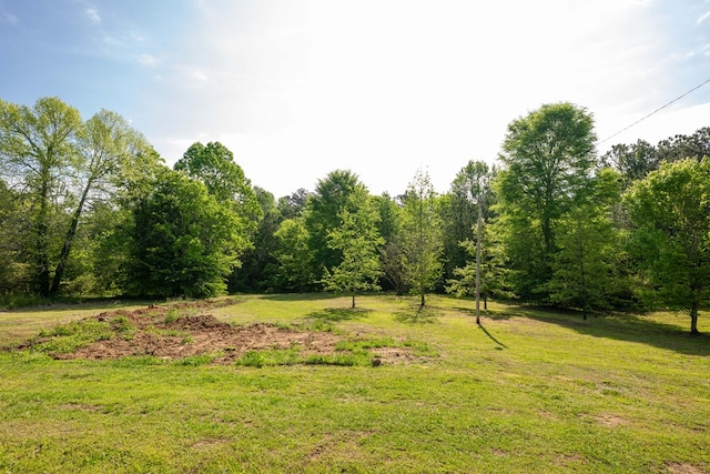 view of nature