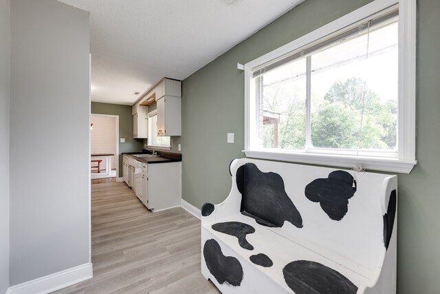 1113 Mount Vernon Rd, Tunnel Hill, GA 30755 - bedroom with baseboards, a sink, light wood-style flooring, and multiple windows