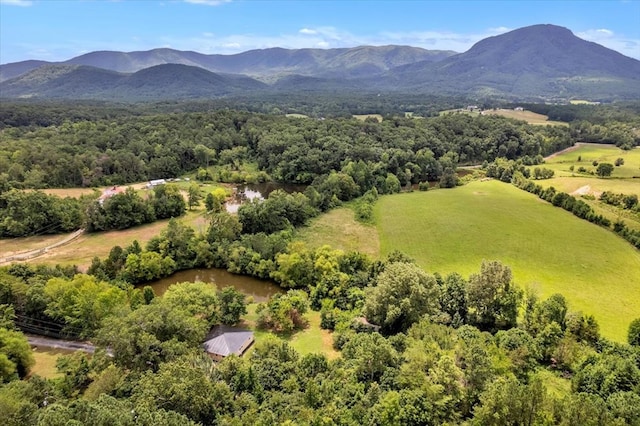 499 Crandall Ellijay Rd, Chatsworth, GA 30705 - photo 3